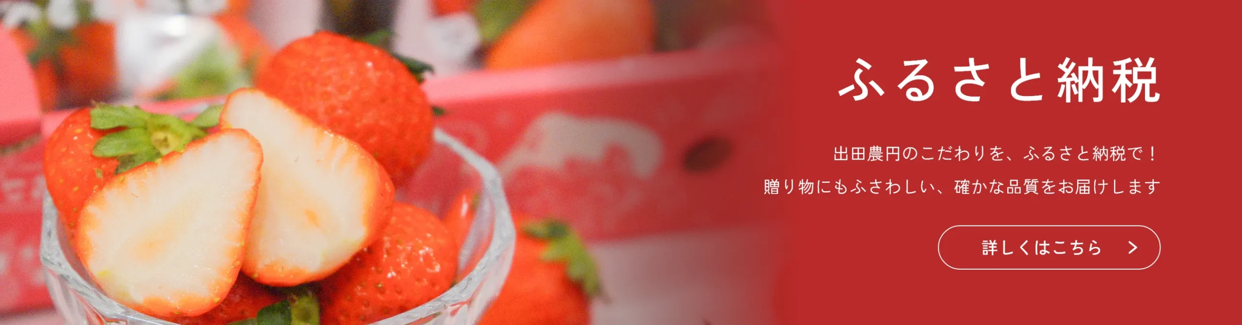ふるさと納税
出田農円のこだわりを、ふるさと納税で！贈り物にもふさわしい、確かな品質をお届けします